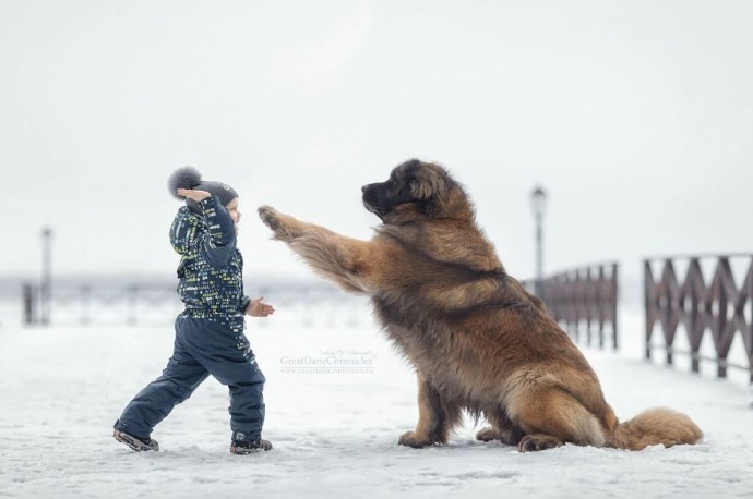 adorable-photo-series-shows-the-bond-between-little-kids-and-their-big-dogs-01-4