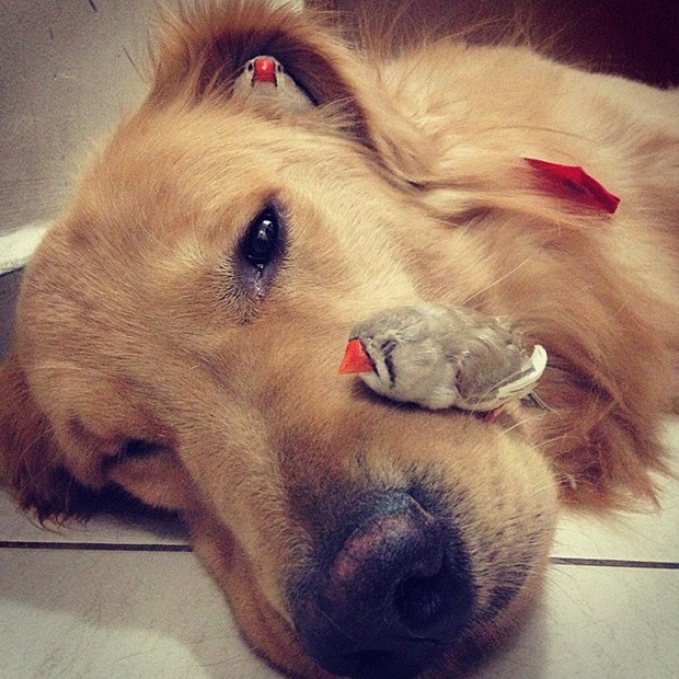 via: instagram.com