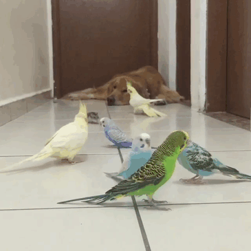 via: boredpanda.com