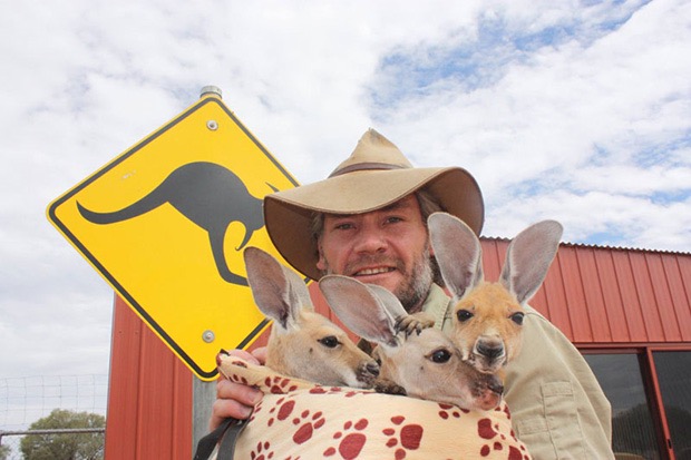 kangaroo-sanctuary-slice-springs-13