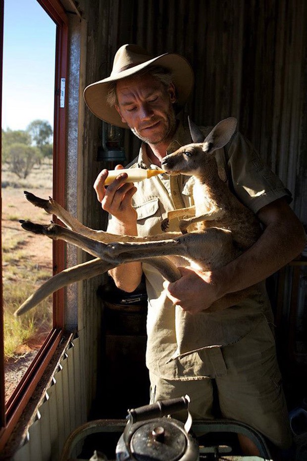 kangaroo-sanctuary-slice-springs-3