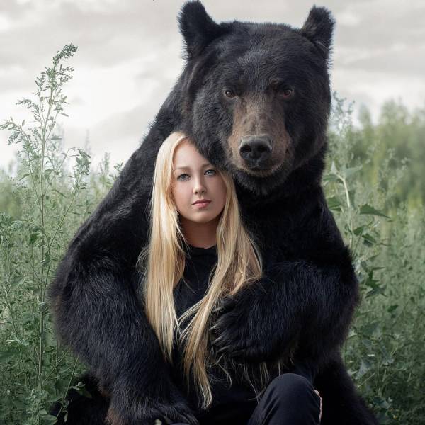 Nothing To See Here, Just A Pet Bear…