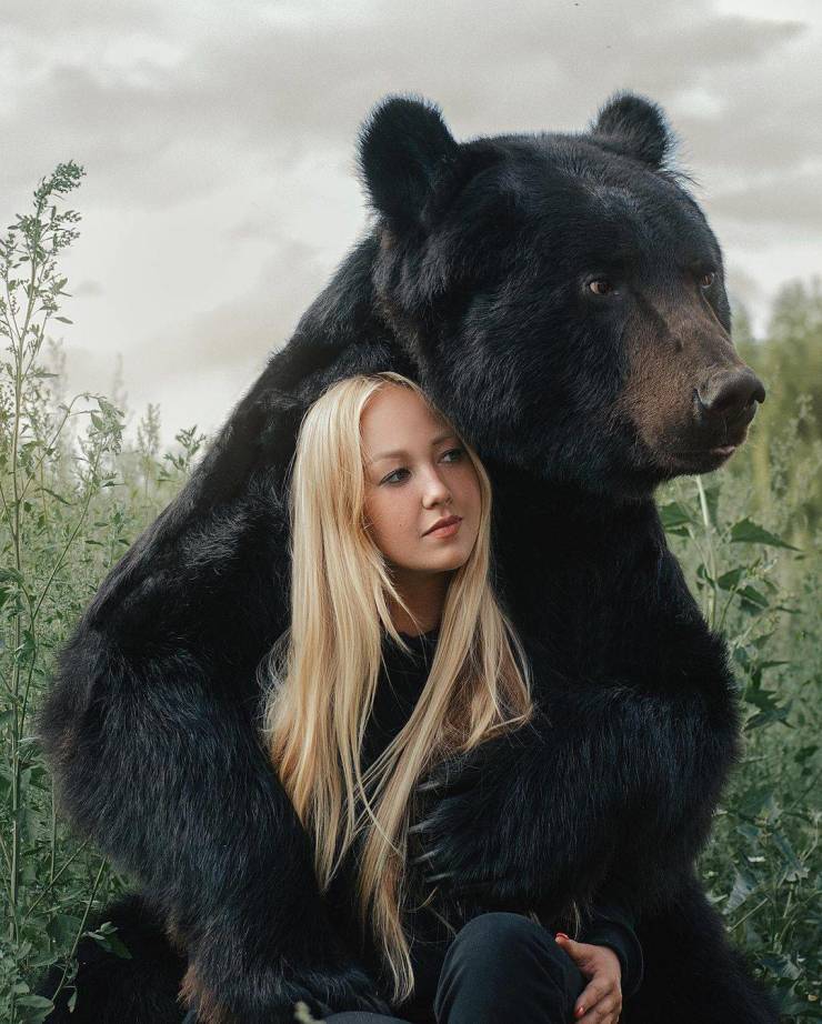 Nothing To See Here, Just A Pet Bear…