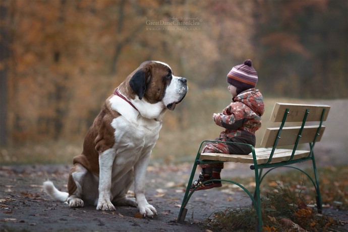 photographer-captures-the-beautiful-bond-between-children-and-their-big-dogs-02