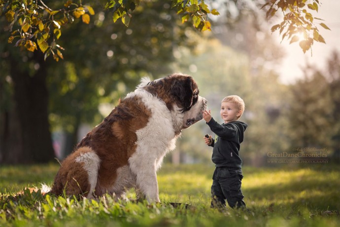 photographer-captures-the-beautiful-bond-between-children-and-their-big-dogs-05