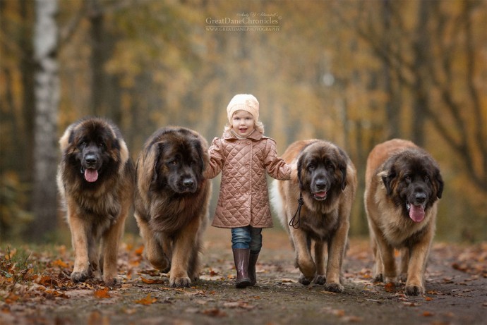 photographer-captures-the-beautiful-bond-between-children-and-their-big-dogs-06