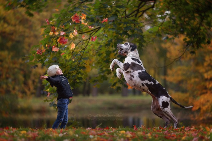 photographer-captures-the-beautiful-bond-between-children-and-their-big-dogs-07