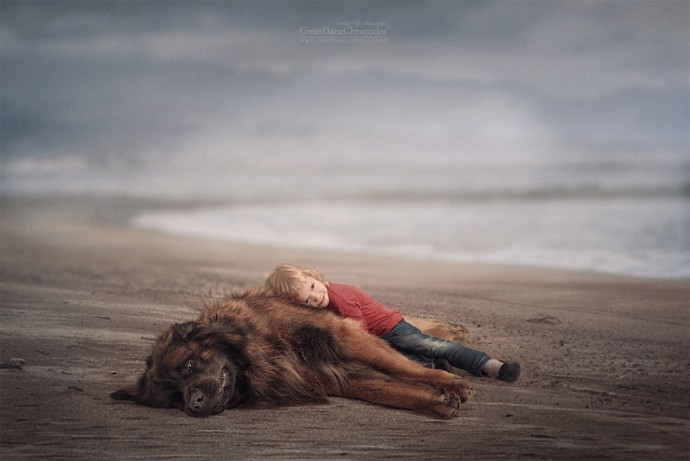 photographer-captures-the-beautiful-bond-between-children-and-their-big-dogs-09