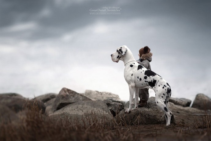 photographer-captures-the-beautiful-bond-between-children-and-their-big-dogs-12