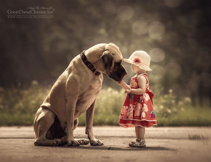 photographer-captures-the-beautiful-bond-between-children-and-their-big-dogs-13