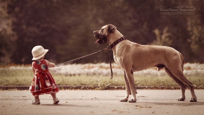 photographer-captures-the-beautiful-bond-between-children-and-their-big-dogs-14