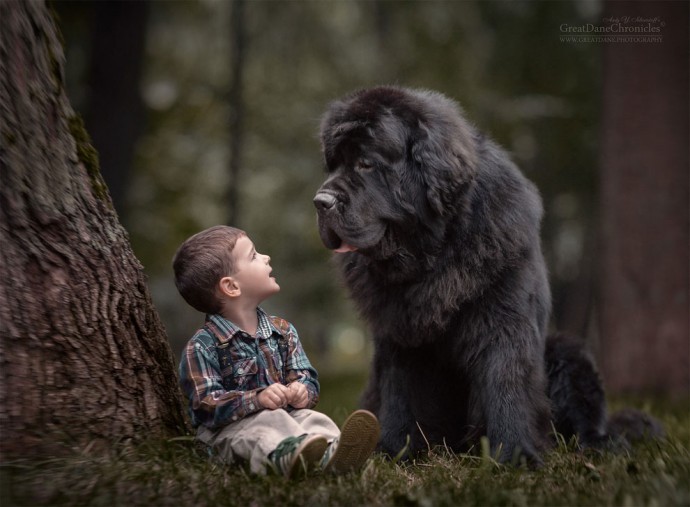photographer-captures-the-beautiful-bond-between-children-and-their-big-dogs-16