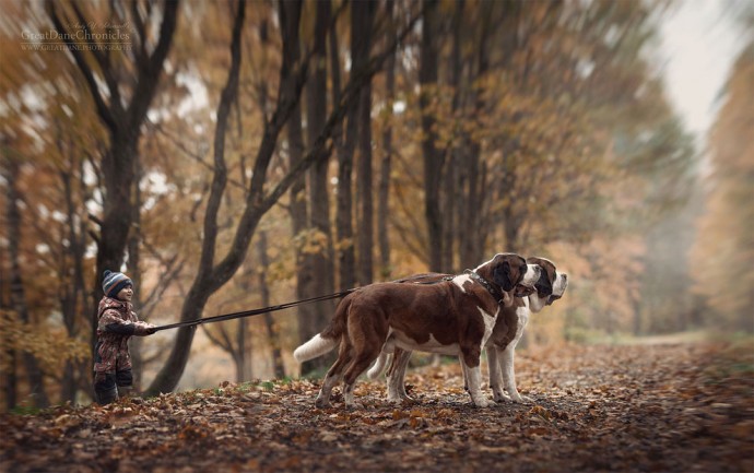 photographer-captures-the-beautiful-bond-between-children-and-their-big-dogs-17