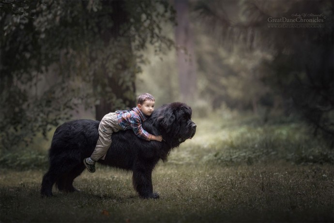 photographer-captures-the-beautiful-bond-between-children-and-their-big-dogs-18