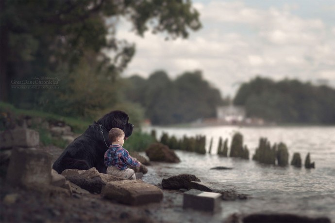 photographer-captures-the-beautiful-bond-between-children-and-their-big-dogs-19