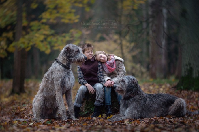 photographer-captures-the-beautiful-bond-between-children-and-their-big-dogs-22