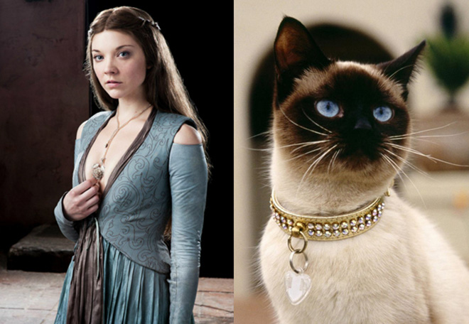 game-of-thrones-characters-cat-look-alikes-06