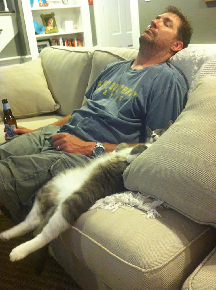 23-hilarious-photos-of-cats-sleeping-in-weird-positions-17