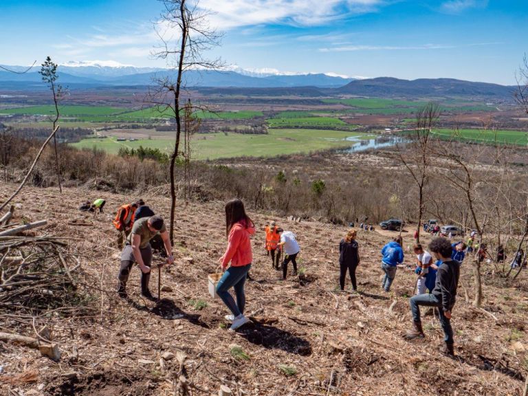 14 000 дръвчета бяха засадени край Севлиево в кампанията "Засади дърво, създай бъдеще" | Днес.dir.bg