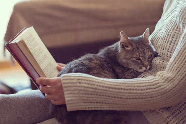 Cat Cuddles — What to Know About Your Kitty's Snuggling Habits - Catster