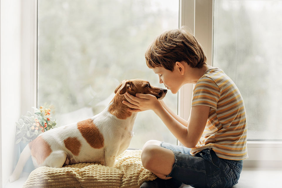 Are Jack Russells Good With Children? [They Can Be]