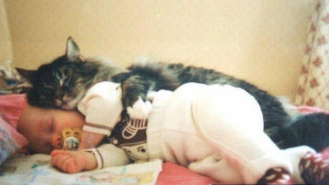children-need-a-cat-in-their-life-05