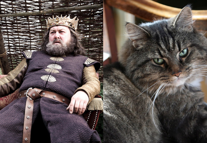 game-of-thrones-characters-cat-look-alikes-09