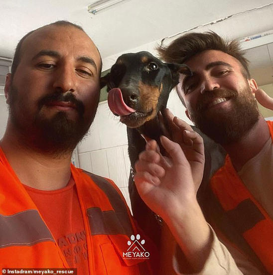 Dog and her three newborn pups are rescued from rubble a MONTH after  Turkey's devastating earthquake