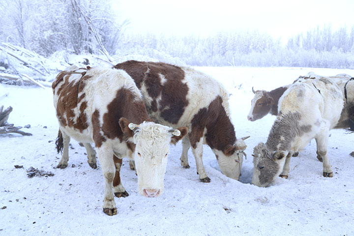 Incredible journey to the land where winter begins, the place winter is born