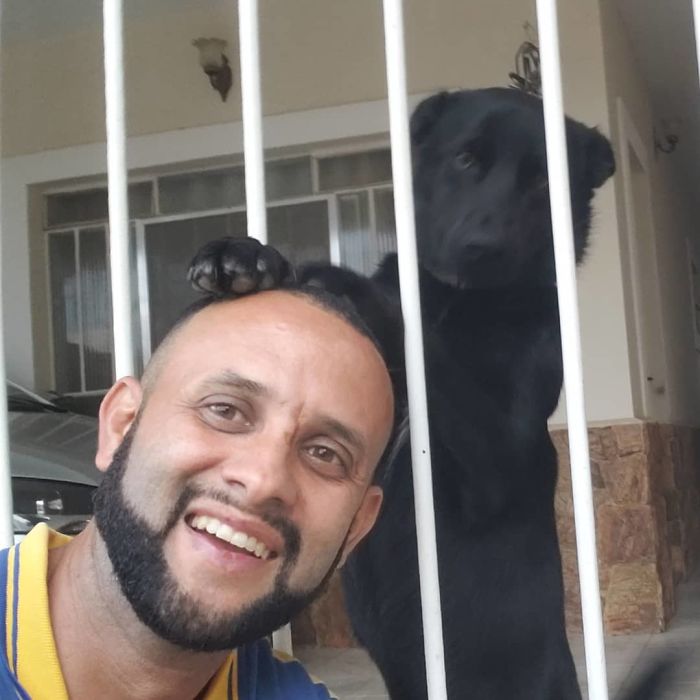 mailman-takes-adorable-selfies-with-every-animal-he-befriends-at-work-11