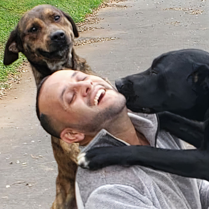 mailman-takes-adorable-selfies-with-every-animal-he-befriends-at-work-16