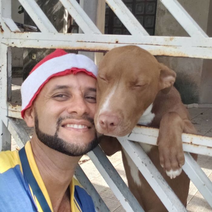mailman-takes-adorable-selfies-with-every-animal-he-befriends-at-work-18
