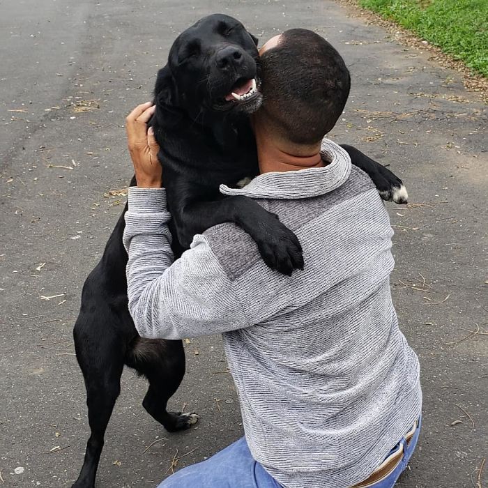 mailman-takes-adorable-selfies-with-every-animal-he-befriends-at-work-20