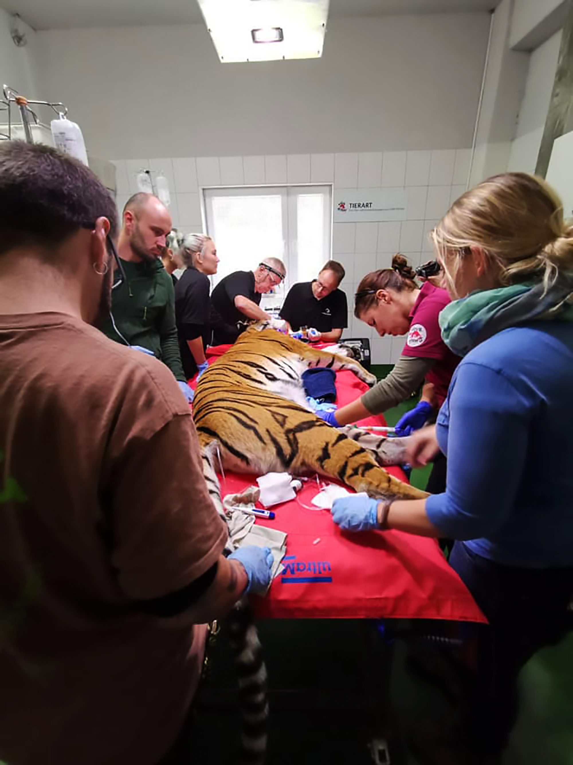  A large team of specialists was involved in the 80-minute-long procedure in Germany