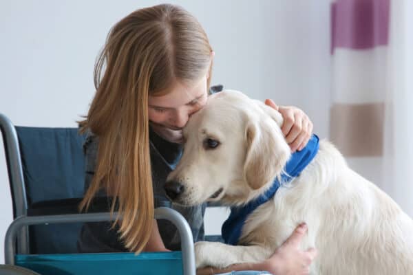Dog Quiz - How Well Do You Know Them? - AZ Animals
