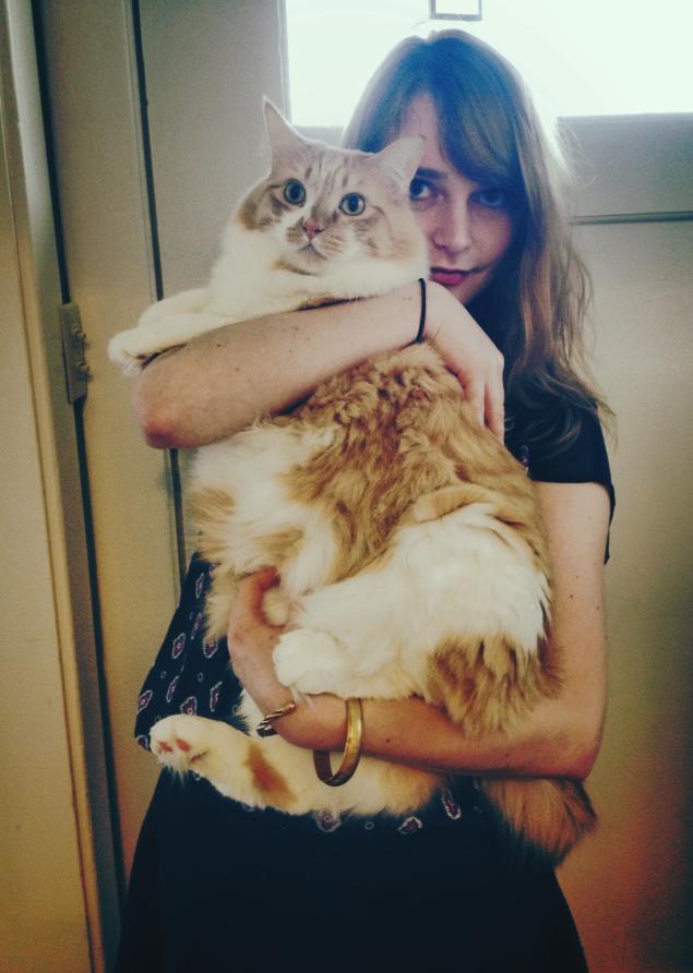 20-huge-cats-who-are-clearly-not-kittens-anymore-03