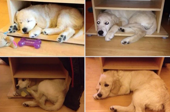 image via imgur.com