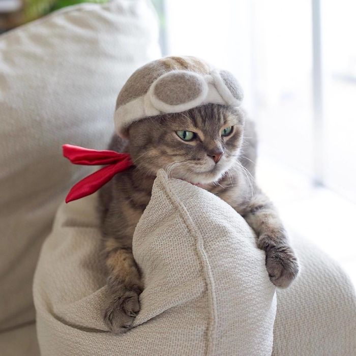 japanese-artist-creates-tiny-hats-made-out-of-his-cats-shed-fur-and-the-results-go-viral-on-instagram-01