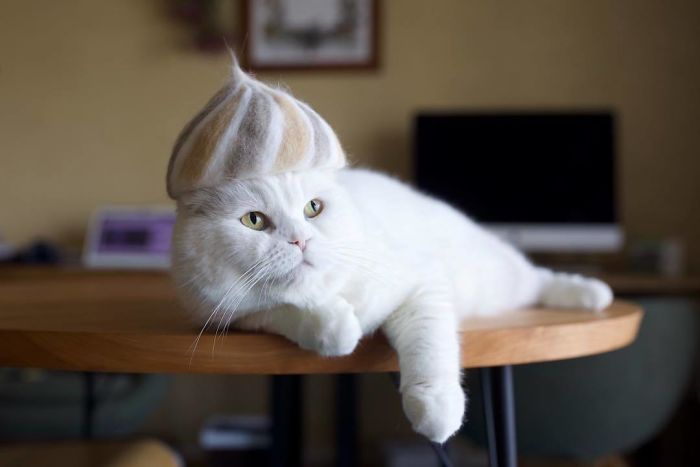 japanese-artist-creates-tiny-hats-made-out-of-his-cats-shed-fur-and-the-results-go-viral-on-instagram-06