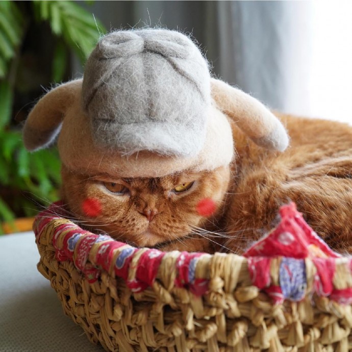 japanese-artist-creates-tiny-hats-made-out-of-his-cats-shed-fur-and-the-results-go-viral-on-instagram-13