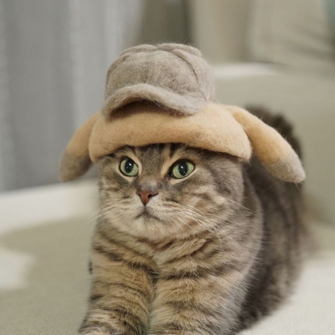 japanese-artist-creates-tiny-hats-made-out-of-his-cats-shed-fur-and-the-results-go-viral-on-instagram-14