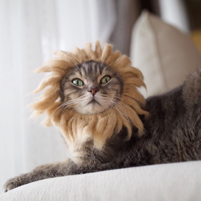 japanese-artist-creates-tiny-hats-made-out-of-his-cats-shed-fur-and-the-results-go-viral-on-instagram-15
