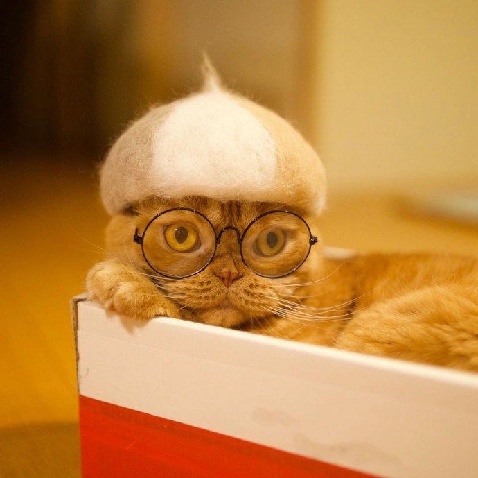 japanese-artist-creates-tiny-hats-made-out-of-his-cats-shed-fur-and-the-results-go-viral-on-instagram-16