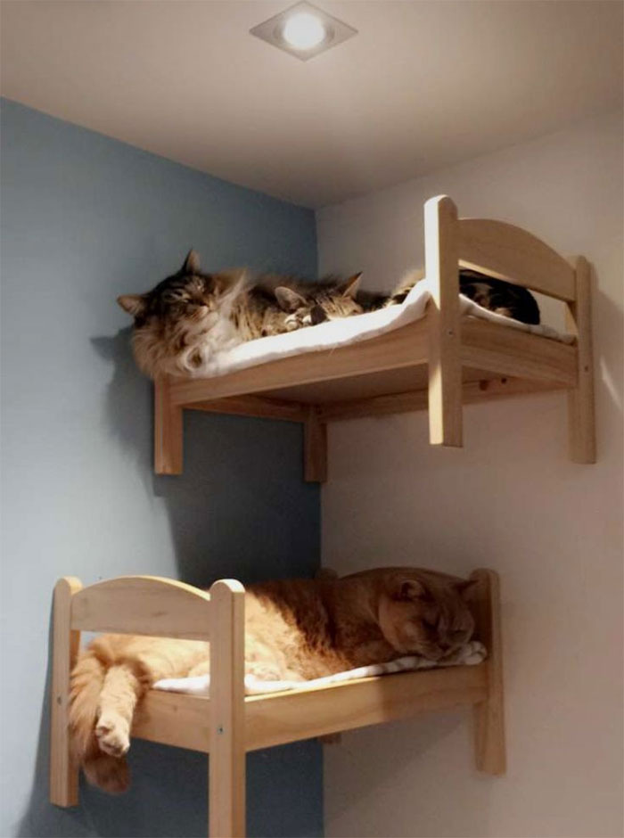 people-are-buying-ikea-s-doll-beds-for-their-cats-and-these-photos-prove-it-s-the-purrfect-solution-14