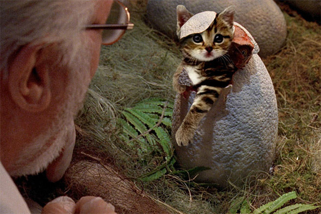 someone-replaced-jurassic-park-dinosaurs-with-kittens-and-it-s-hilarious-02