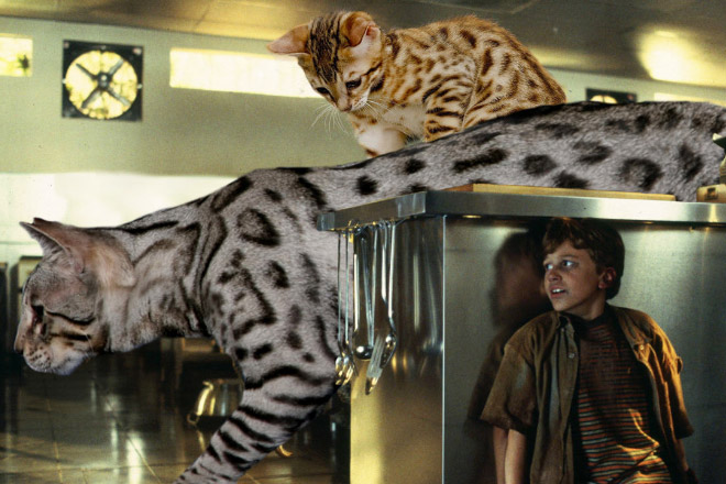 someone-replaced-jurassic-park-dinosaurs-with-kittens-and-it-s-hilarious-03