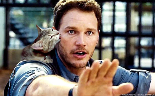 someone-replaced-jurassic-park-dinosaurs-with-kittens-and-it-s-hilarious-04