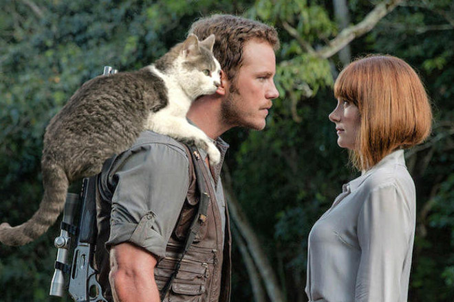 someone-replaced-jurassic-park-dinosaurs-with-kittens-and-it-s-hilarious-07