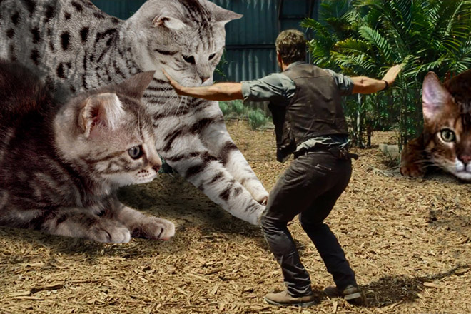 someone-replaced-jurassic-park-dinosaurs-with-kittens-and-it-s-hilarious-08