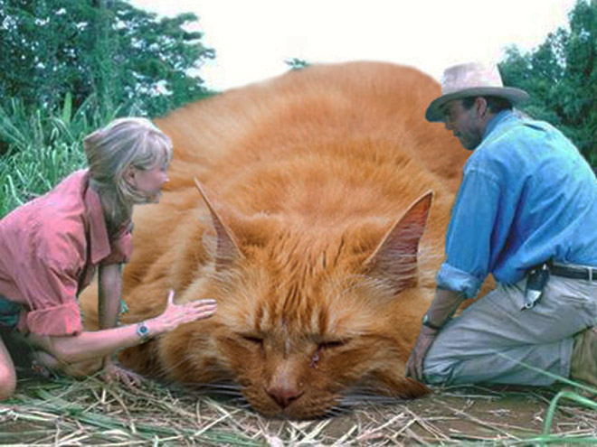 someone-replaced-jurassic-park-dinosaurs-with-kittens-and-it-s-hilarious-09